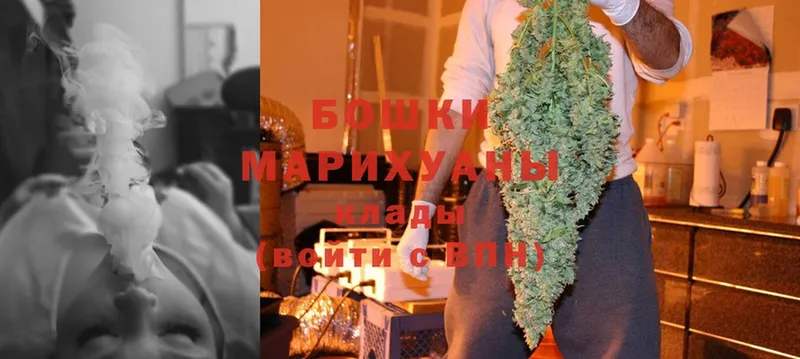 Бошки марихуана SATIVA & INDICA  Тобольск 